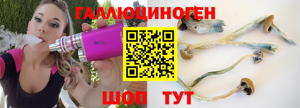 Псилоцибиновые грибы Magic Shrooms  Вход с VPN  Ртищево 